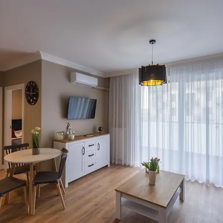 Papillon Letnica