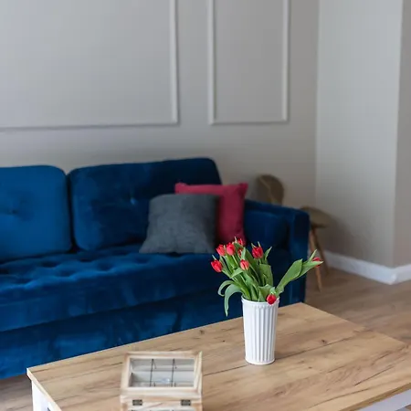 Papillon Letnica * Gdańsk