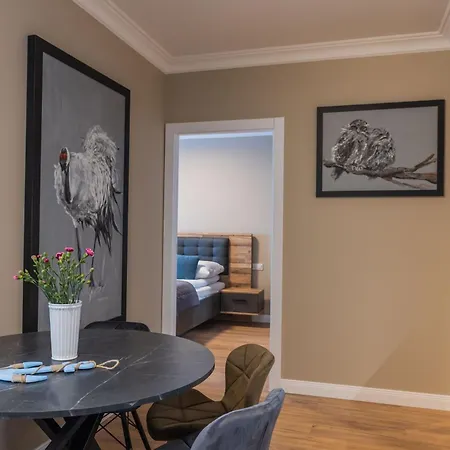 Papillon Letnica * Gdansk