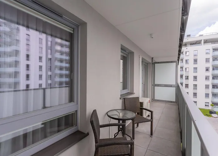 Papillon Letnica Gdańsk