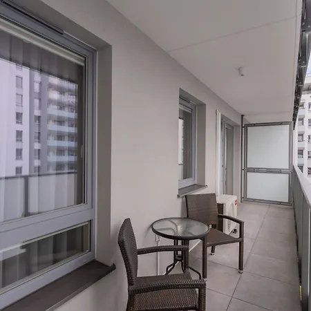 Papillon Letnica Gdańsk