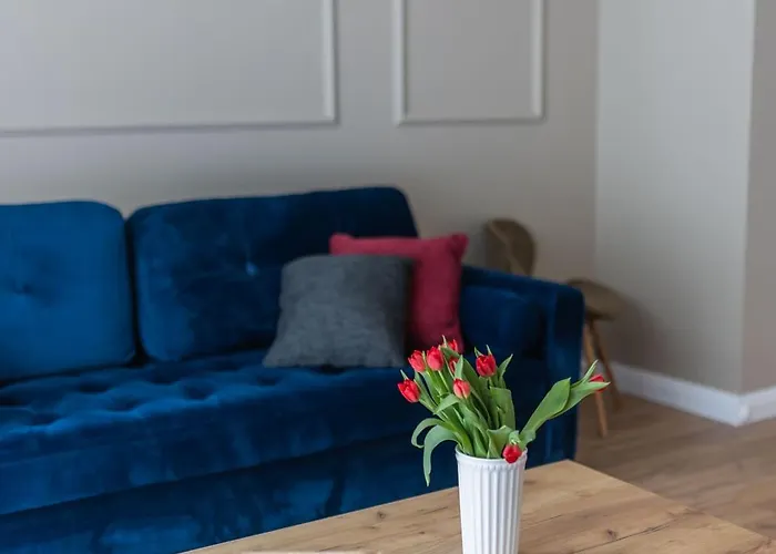 Papillon Letnica * Gdańsk